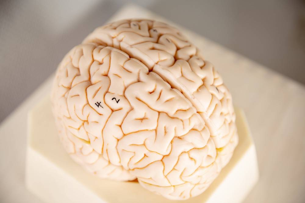 Mentalisering og psykologisk metode